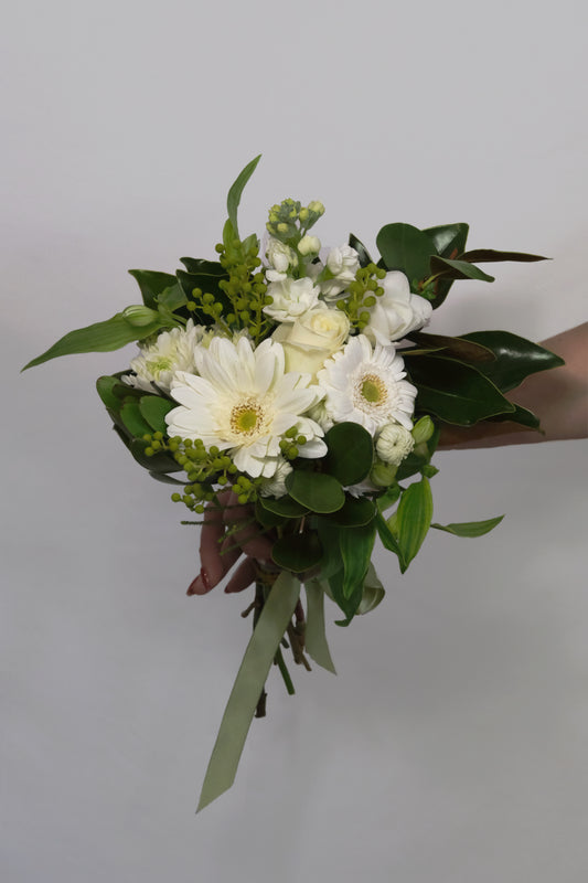 Bouquet of white and green flowers held by a hand against a plain background