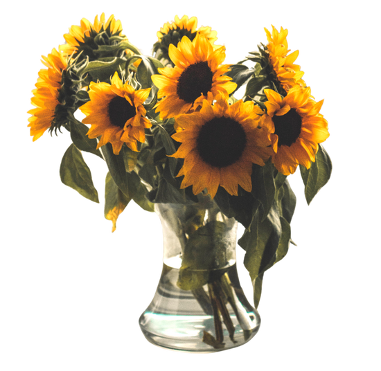 Bouquet of Sunflowers from Wellington Florist